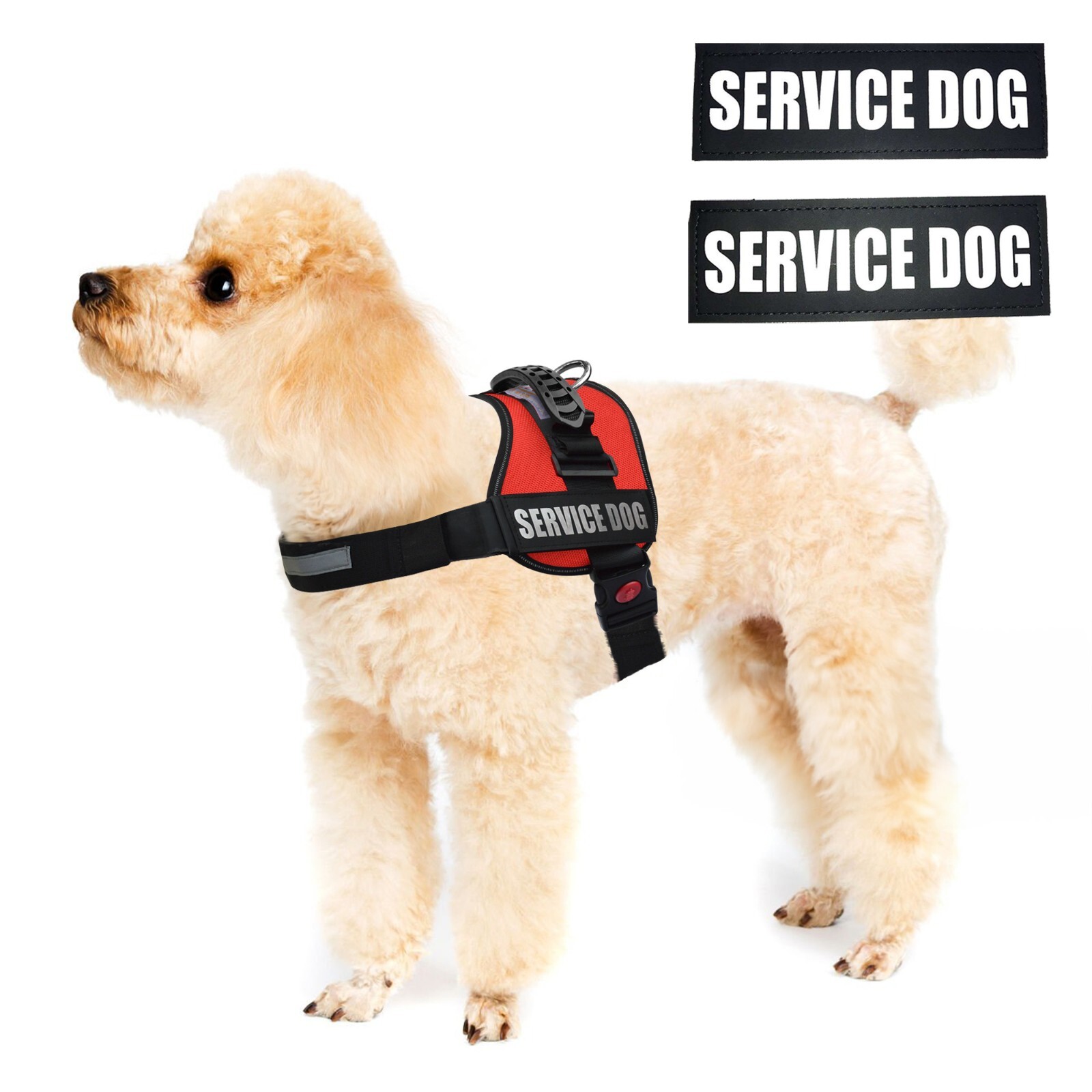 ALBCORP Reflective Service Dog Vest Harness, Woven Nylon with Adjustable Straps