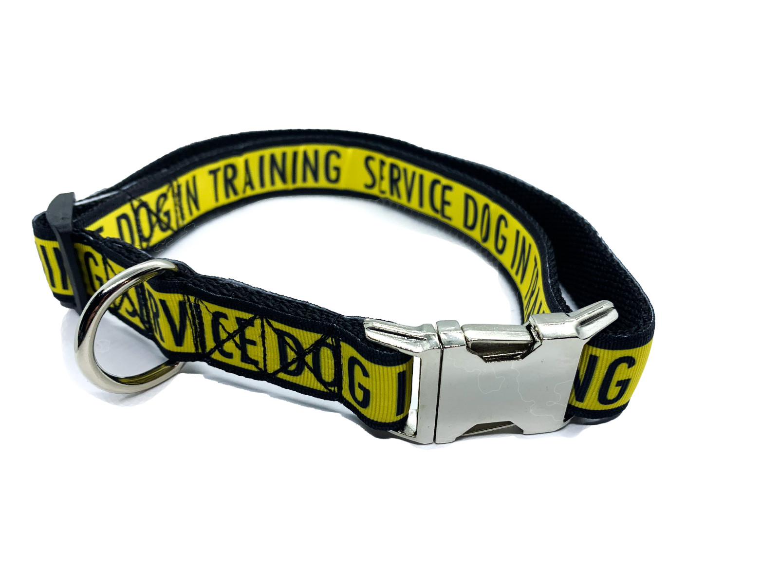 Service Dog in Training Collar 1″ Adjustable Service Dog Gear Dog Collar