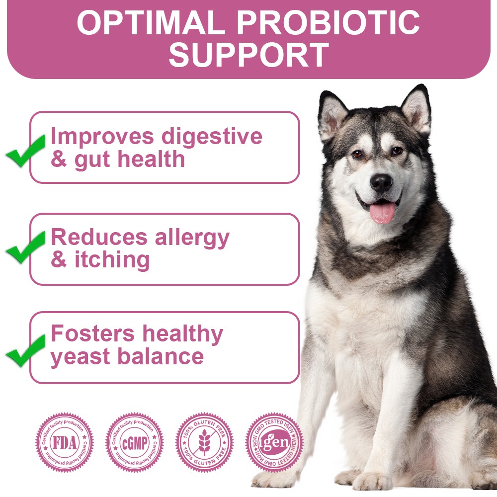 150 Dog Probiotics Supplement – Supports Digestion Health, Allergy & Itchy Skin