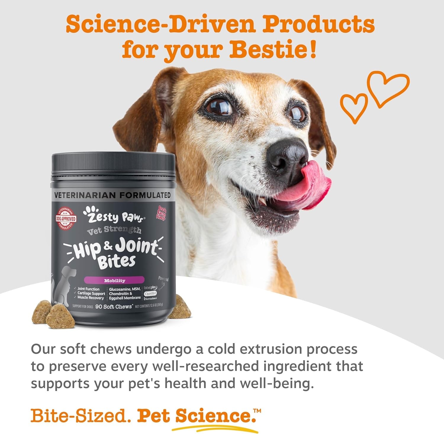 Veterinary-Grade High-Potency Mobility Chews Beef & Bacon Flavour – 90 Chews