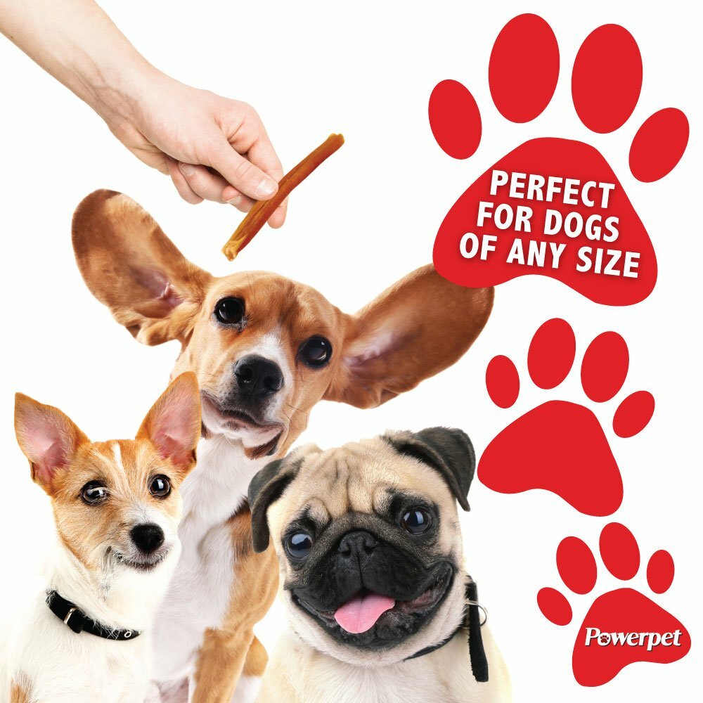 All Natural 4″ Bully Jumbo Thick Sticks FDA & USDA APPROVED