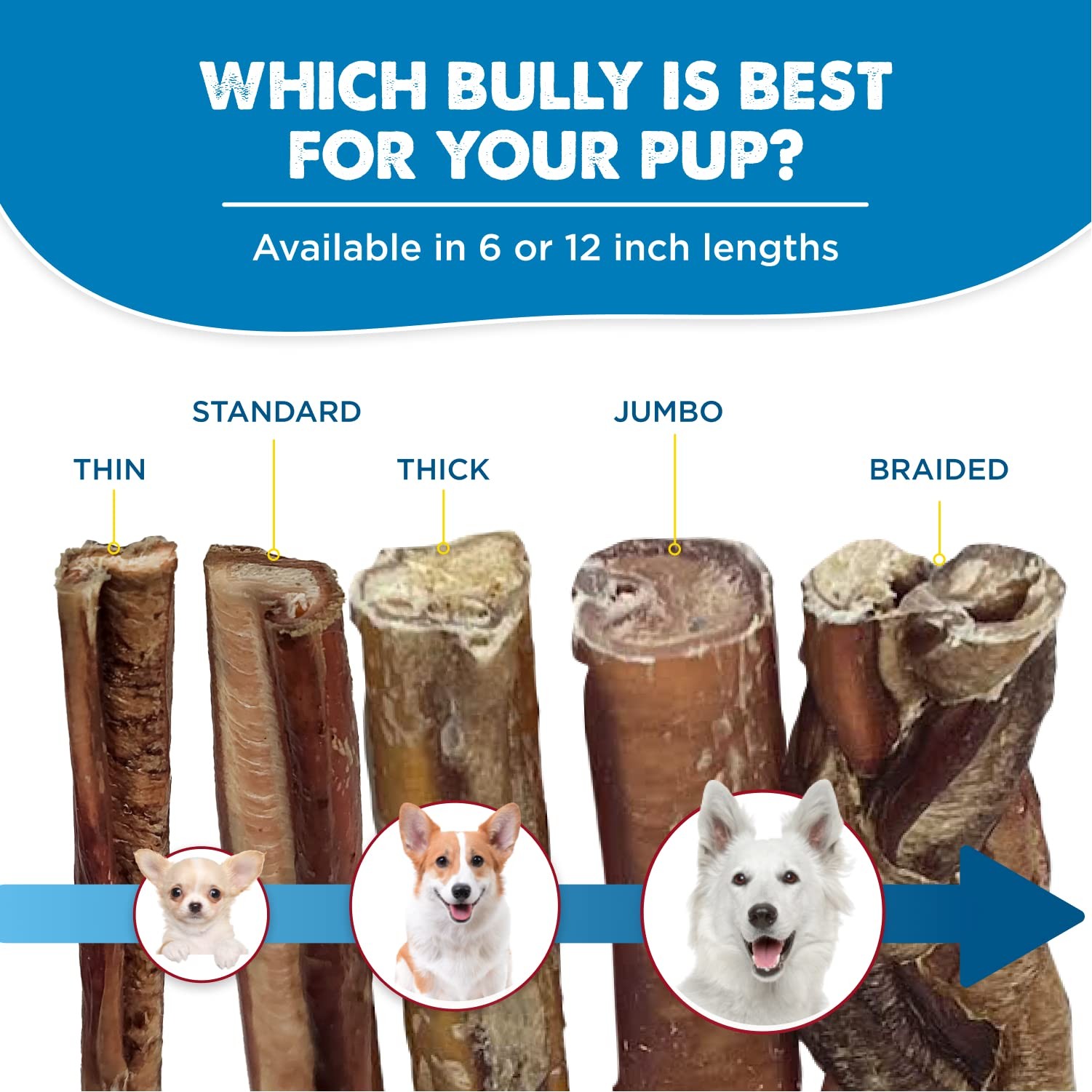 Best Bully Sticks Jumbo Bully Sticks 12 Inch, 25 Count Pack of 1 Natural, G…