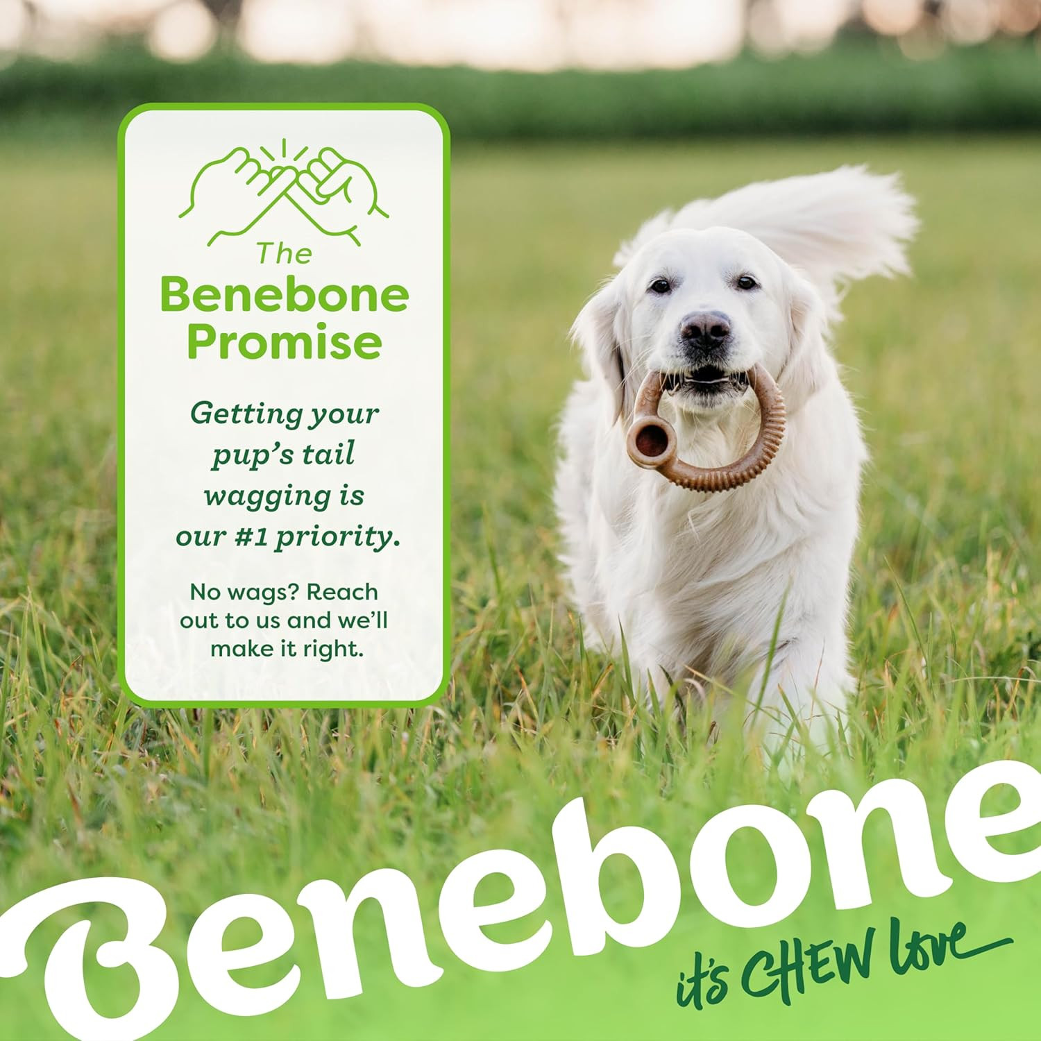 Benebone Ring Durable Dog Chew Toy for Aggressive Chewers, Real Bacon, Made in U