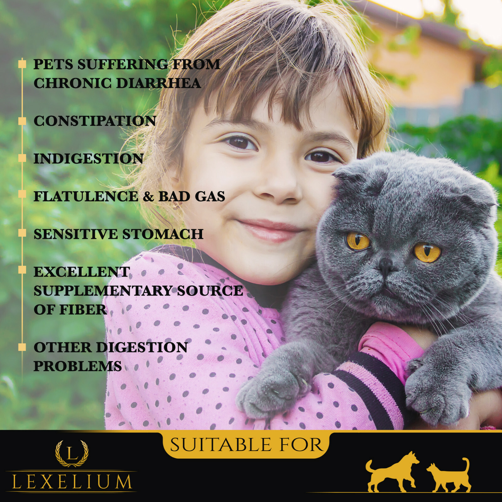 Prebiotic & Digestion Aid For Dogs and Cats | Helps with Constipation & Diarrhea