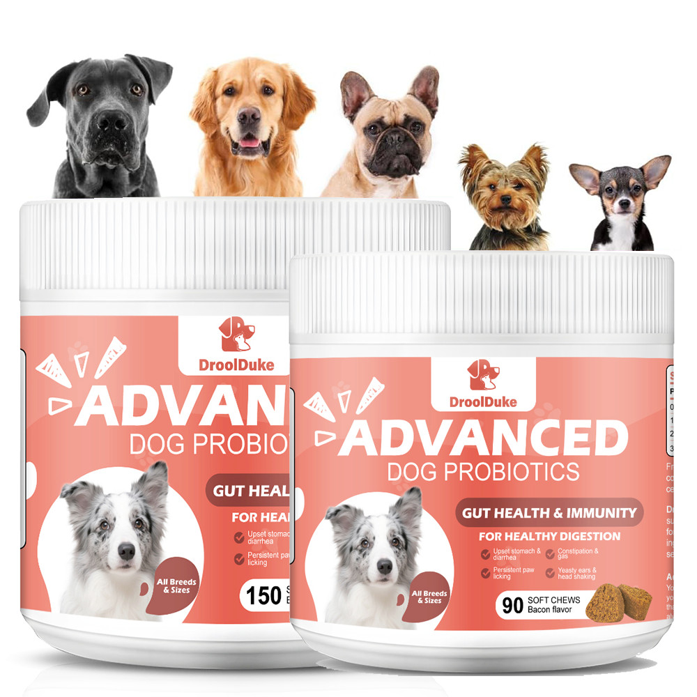(2 Packs)Advanced Probiotics for Dogs | Itchy Skin, Immune Supports, Gut Health