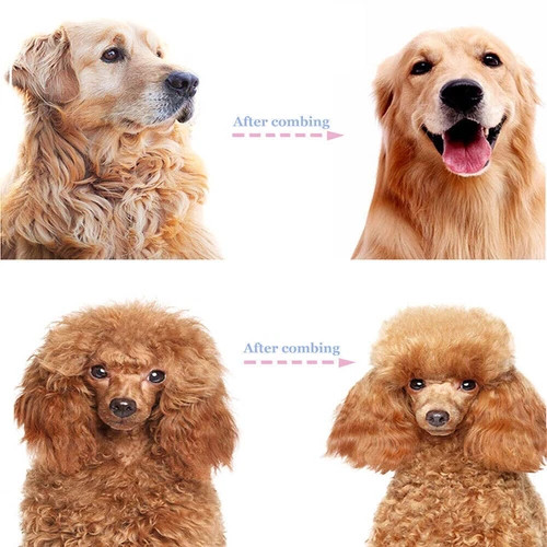 Professional 2-Sided Pet Grooming Brush & Undercoat Rake – Dog & Cat Deshedding