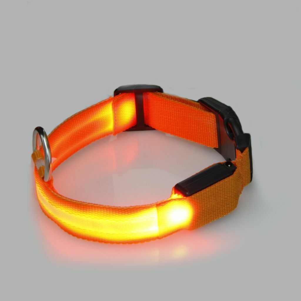 USB Rechargeable LED Dog Light Up Safety Collar Night Glow Adjustable Bright USA