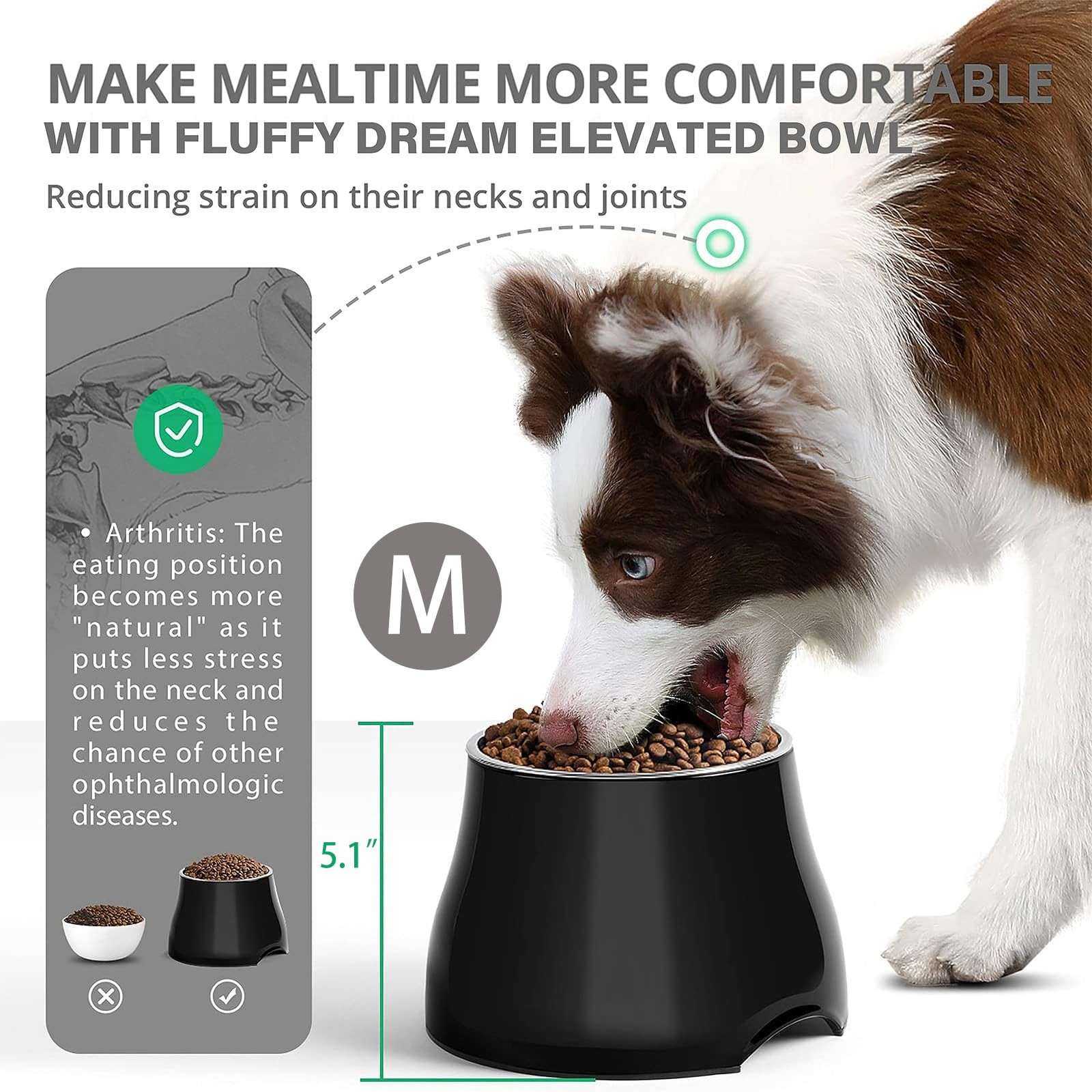 Elevated Pet Bowls NonSlip Stainless Steel High Capacity DarkBlack Medium New