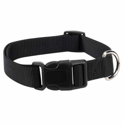 Casual Canine Nylon Dog Collar w Quick Release Buckle XS S M L 11 Colors