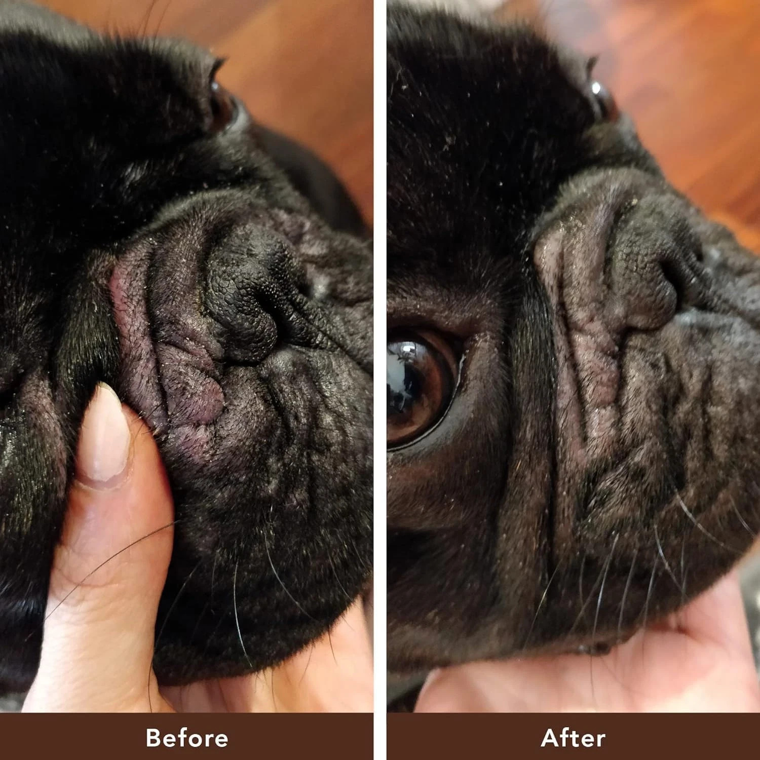 NEW Natural Dog Company 2 oz Skin Soother Stick Organic Healing Balm for Dogs
