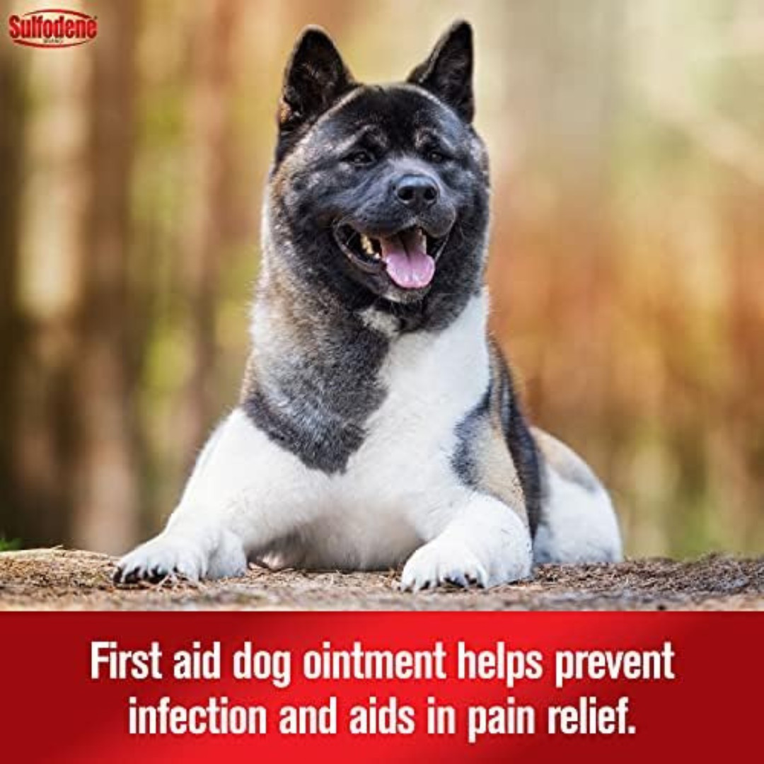 Sulfodene Dog Wound Care 3-W Ointment – Pain Relief & Infection Prevention, 2 oz