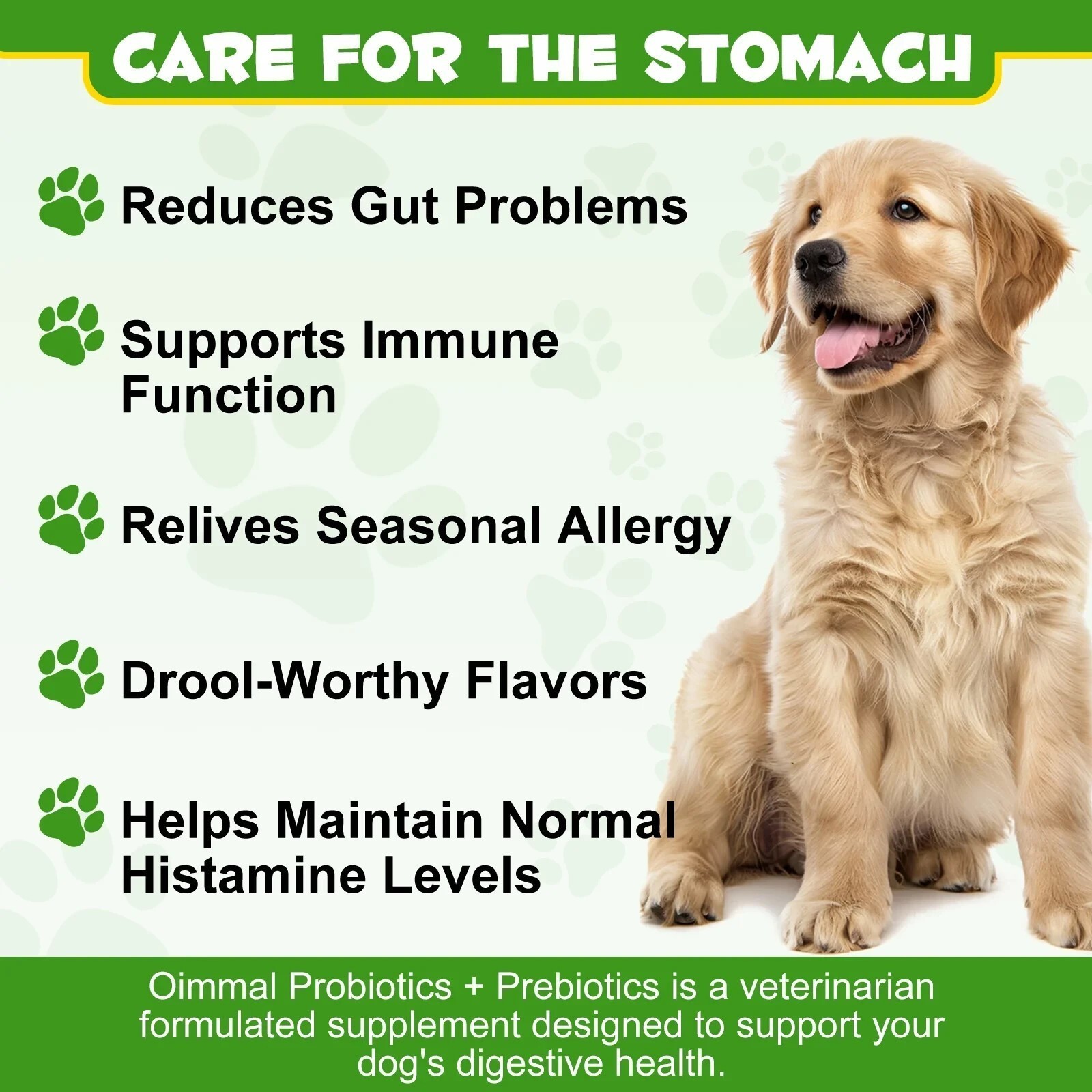 Probiotic, Prebiotic Powder, Digestive Enzyme Powder for Dogs – 120 Grams