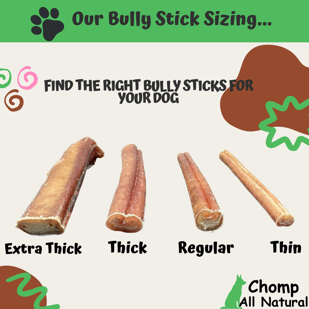 6″ inch BULLY STICKS Natural Dog Treats Chews USDA & FDA Approved, By Chomp