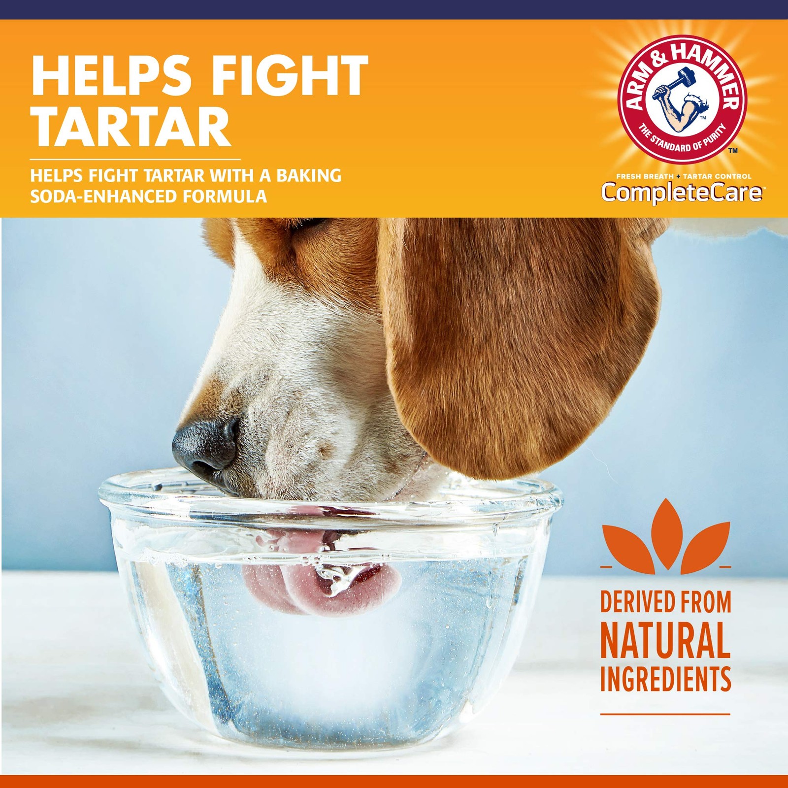 Arm & Hammer Complete Care Dental Water Additive 16 Fl Oz (Pack of 1), White