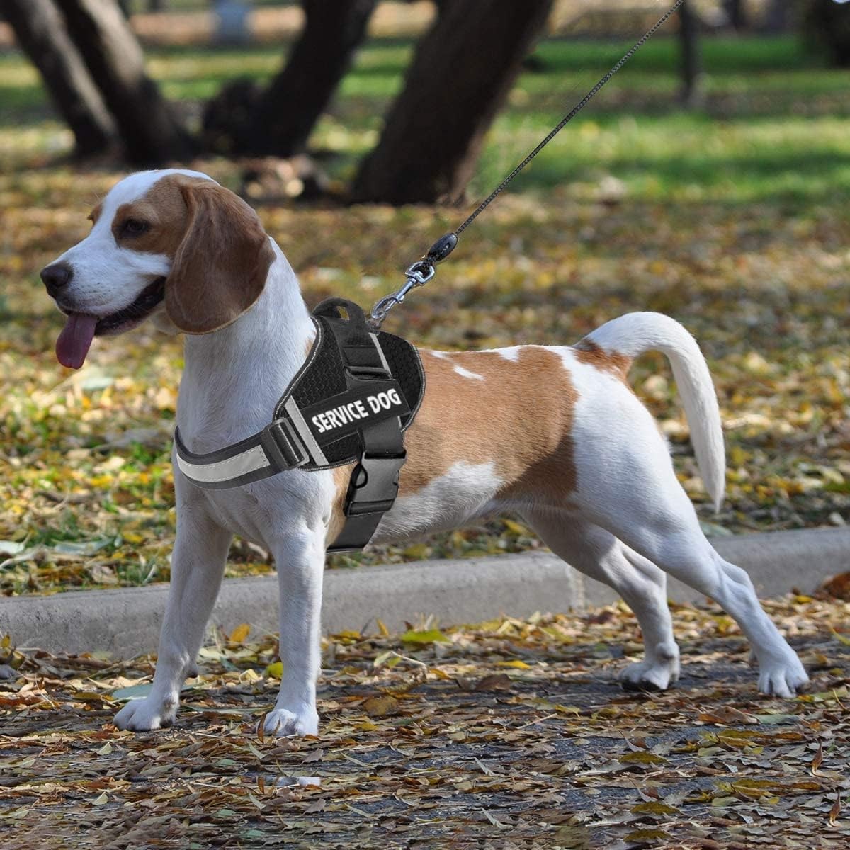 Reflective Service Dog Vest Harness, Woven Nylon with Adjustable Straps XS-XXL