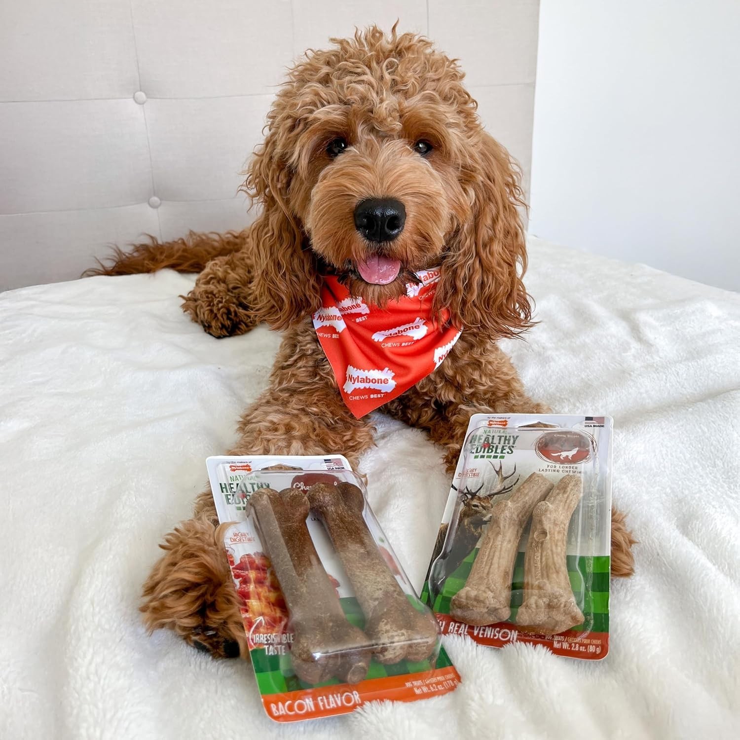 All-Natural Venison Chew Bones for Large Dogs – Long Lasting Dog Treats, 2 Count