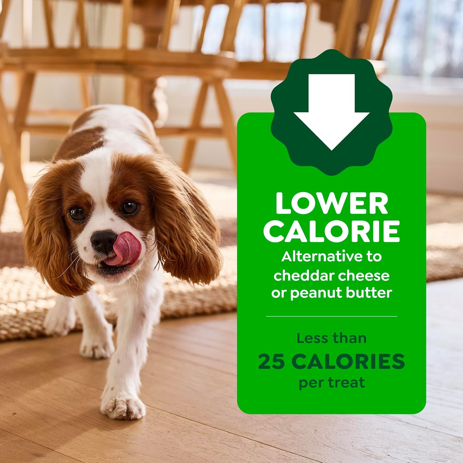 Greenies Pill Pockets for Dogs Large Size, Dog Treat Pouch for Capsule Medicatio