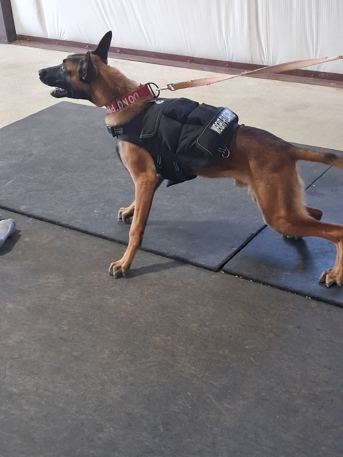 CWS Weighted Dog Vest + Flotation Vest-Medium 12 Pounds Sandbags Only No Sand!!
