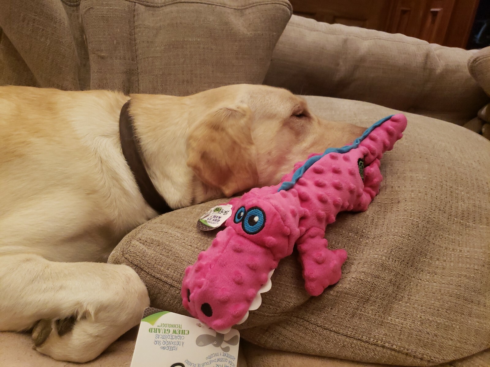 GoDog Pink Gator Dog Toy w/ Chew Guard Technology – LARGE – Squeaks