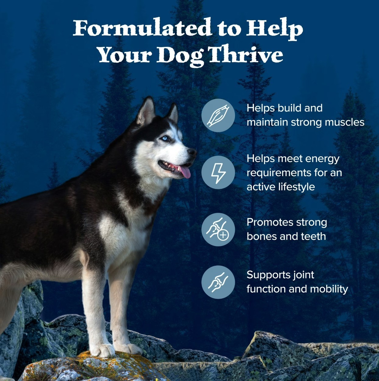 Blue Buffalo Wilderness Natural High-Protein Adult Dog Dry Food, Chicken , 24lb