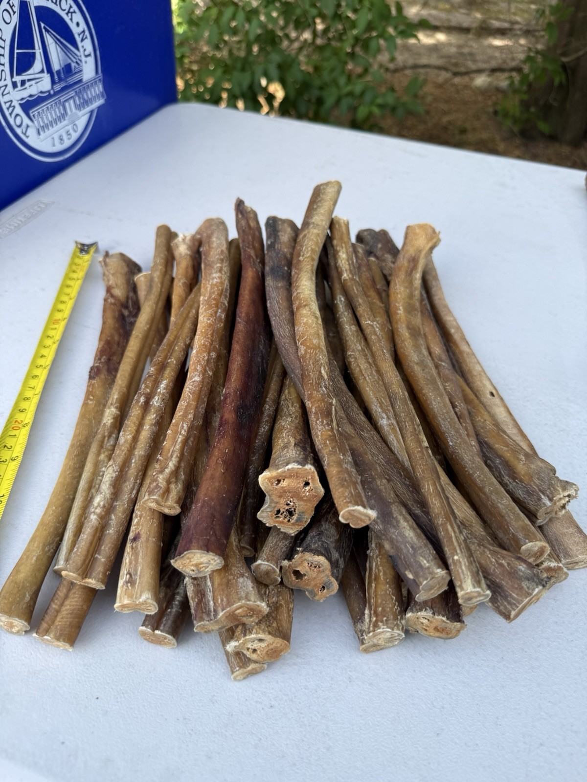 Pawfect 12″ Bully Stick Dog Chews Beef Pizzle Long Lasting Treats No ODOR