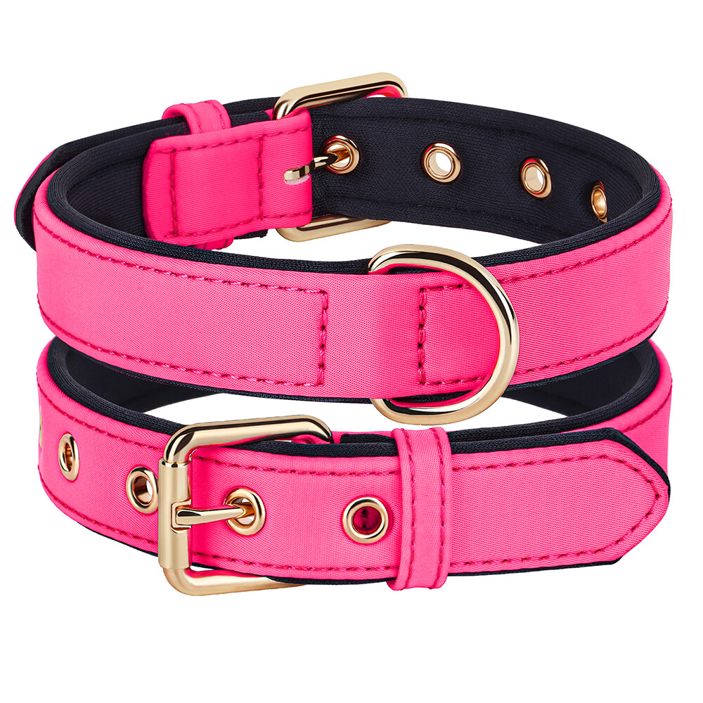 Personalized Nylon Dog Collar Custom Name Phone Print Soft Padded Adjustable S-L