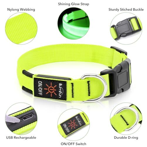 Illumifun LED Dog Collar, USB Rechargeable Light Up Assorted Sizes , Colors