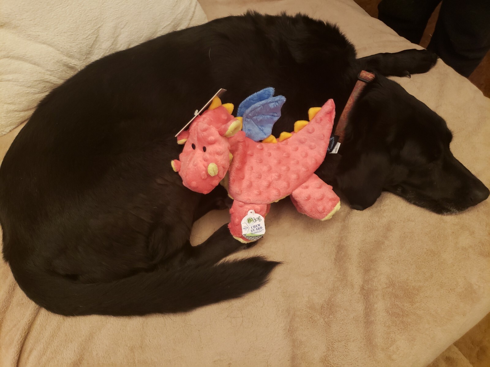 GoDog Dragons Chew Guard Squeaky Plush Dog Toy Large