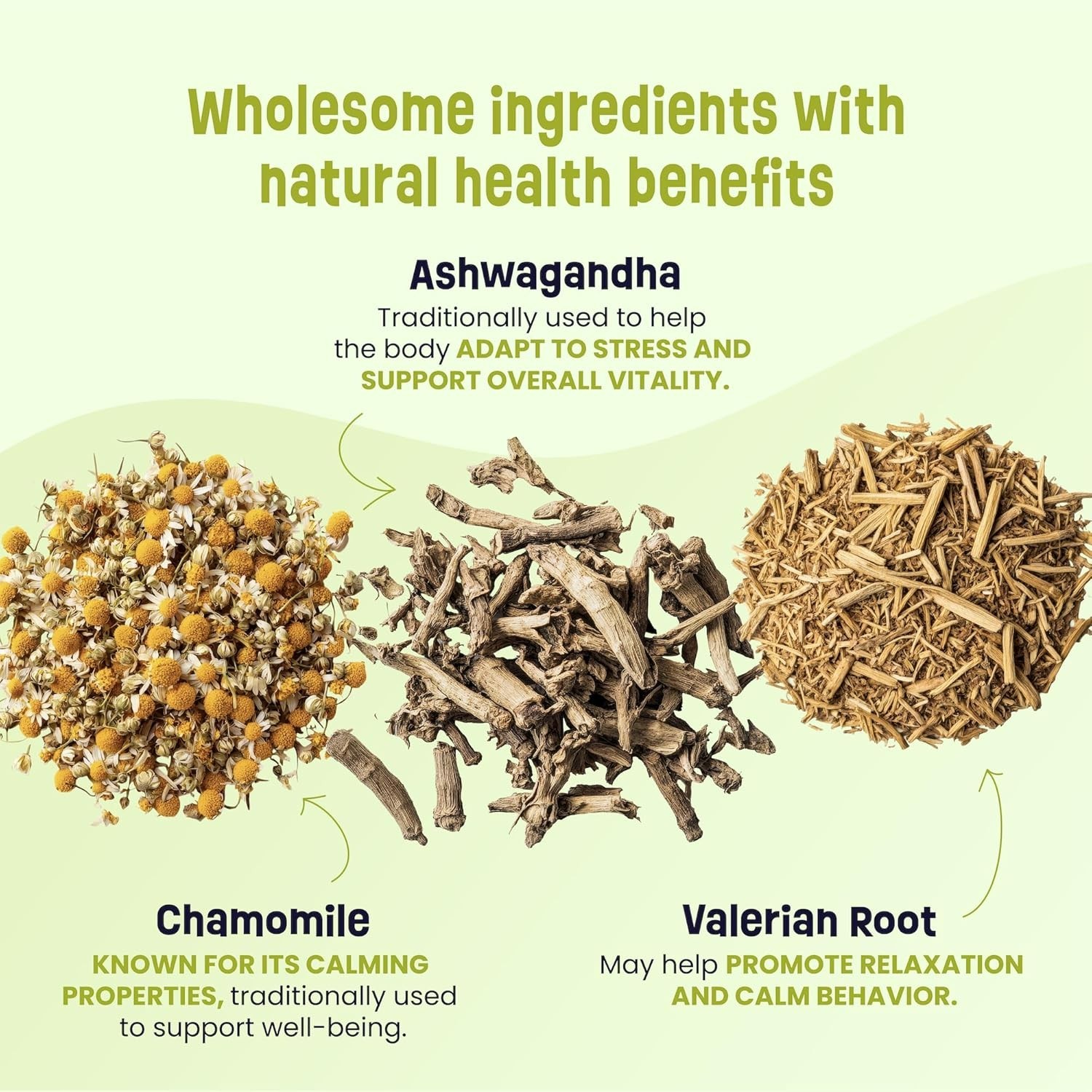 Calming Organic Dog Treats – Supports Relaxation & Balanced Behavior – with Ashw