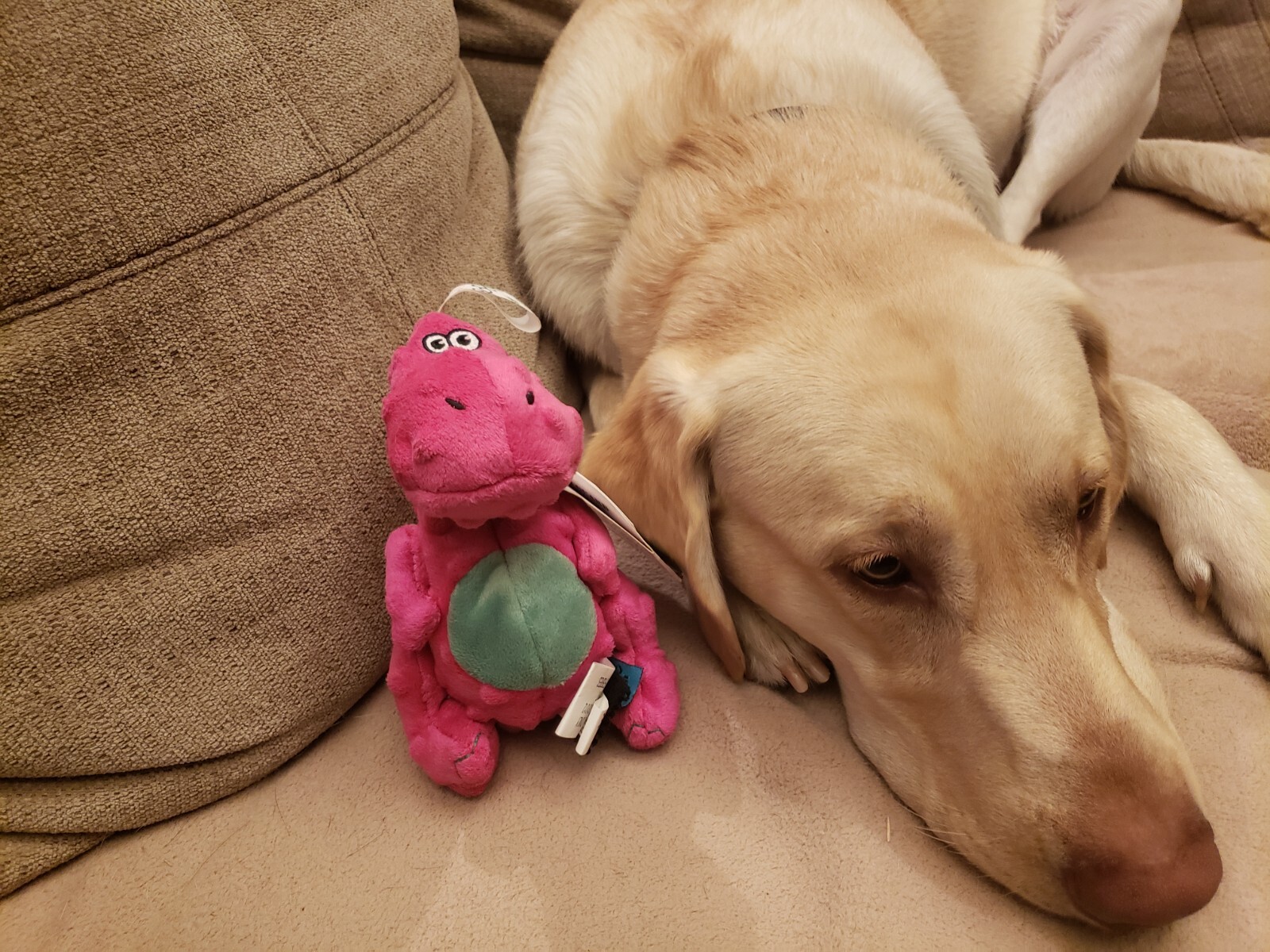 goDog Dinos Pink T-Rex Small Chew Guard Squeaker Plush Dog Toy 770295