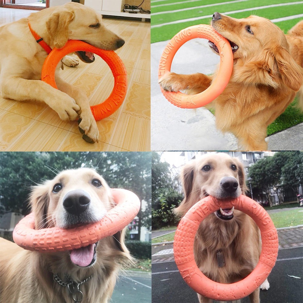 Dog Chew Ring Toy – Indestructible, Flying, Floating Fetch Training Fun