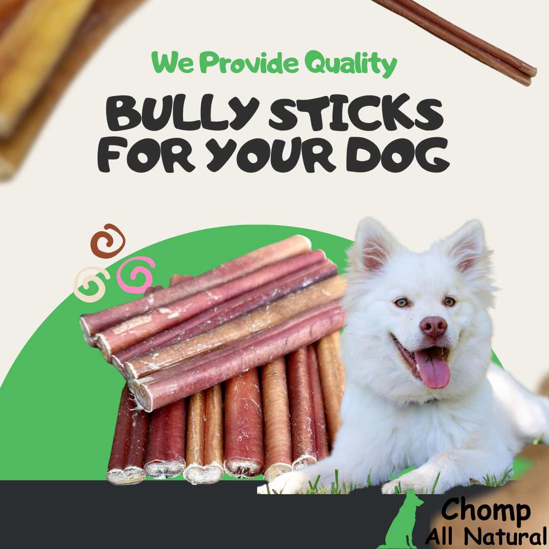 6″ inch BULLY STICKS Natural Dog Treats Chews USDA & FDA Approved, By Chomp