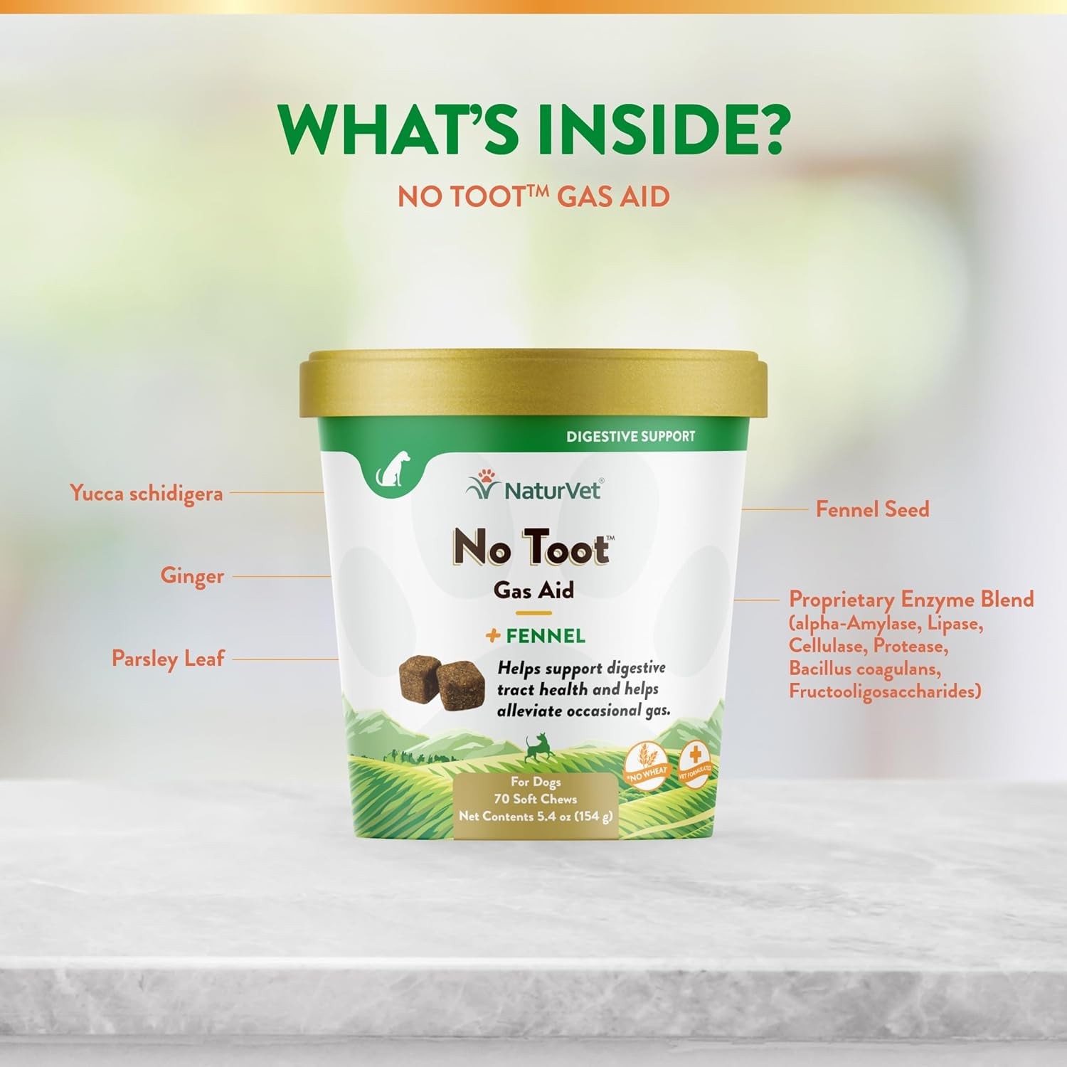 NaturVet No Toot Gas Aid Supports Digestive Tract Health for Dogs 70 Soft Chews