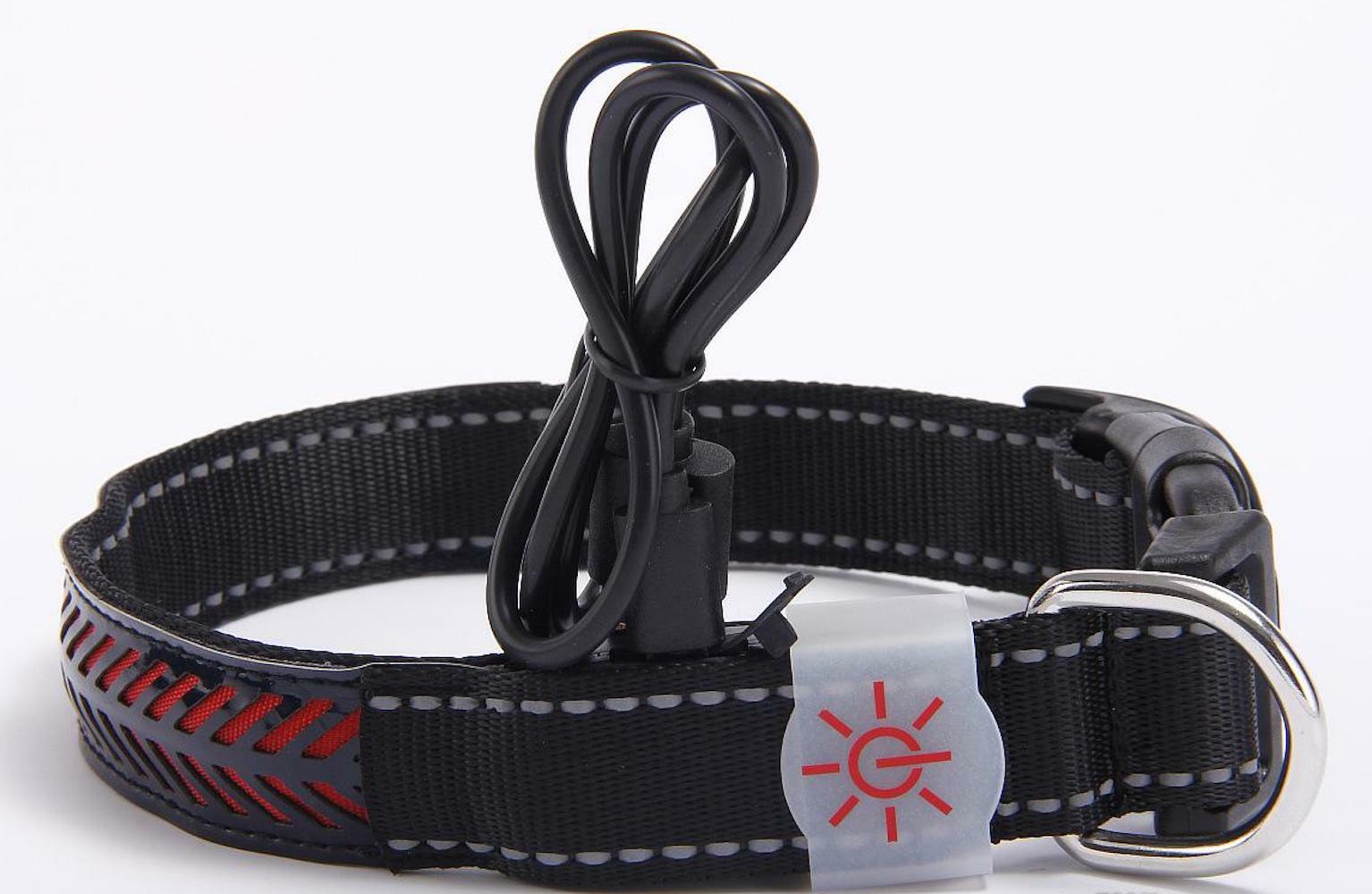 PREMIUM Rechargeable LED Pet Glow COLLAR rugged safety flash light-up FOR dog