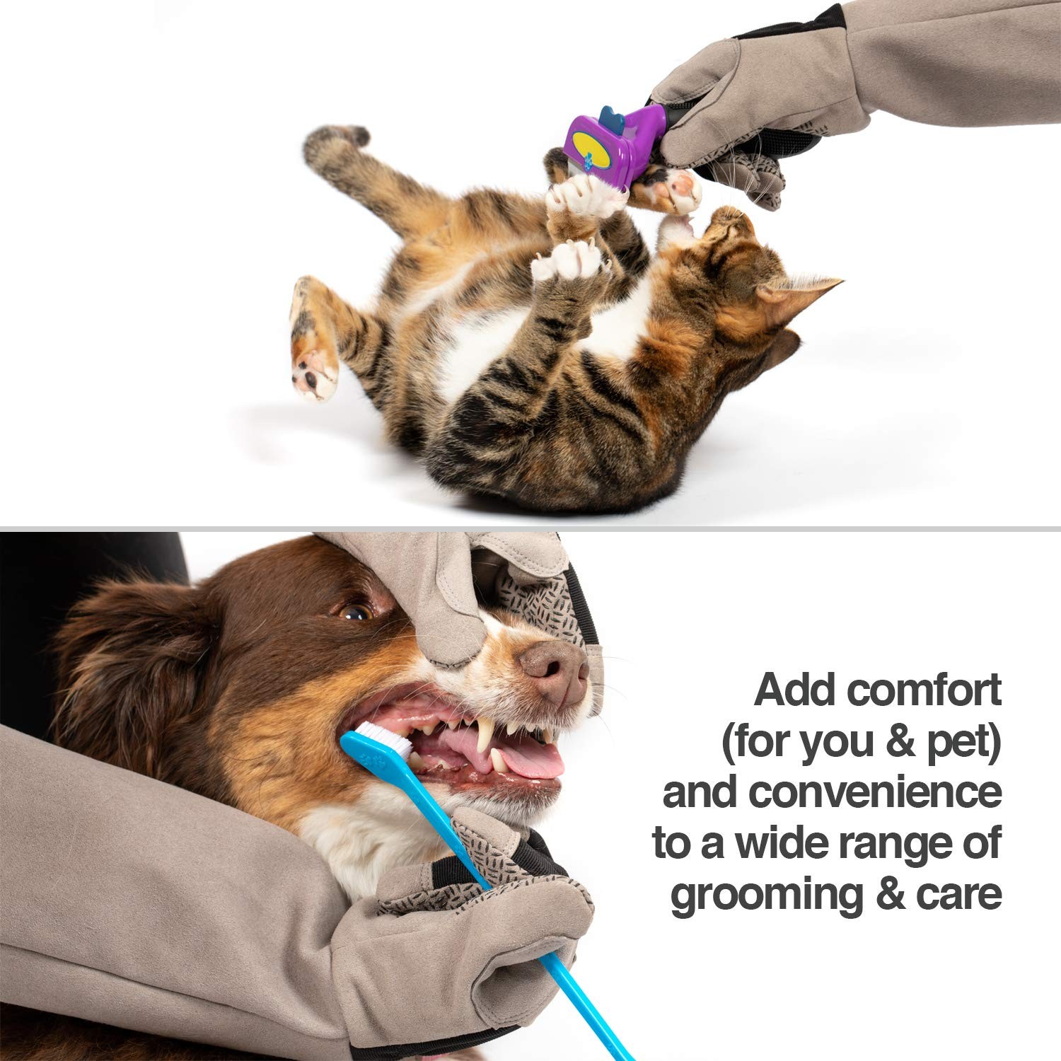Multipurpose Pet Grooming Glove – Scratch & Water Resistant, 12-Month Warranty