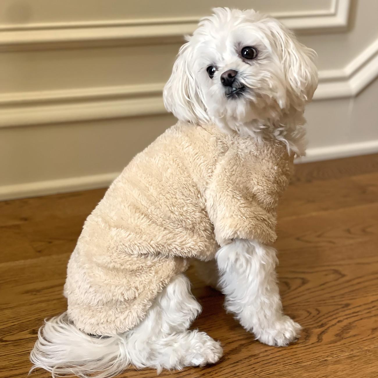Dog Plush Pullover Jacket/Sweater- Cream Sizes XS – 4XL
