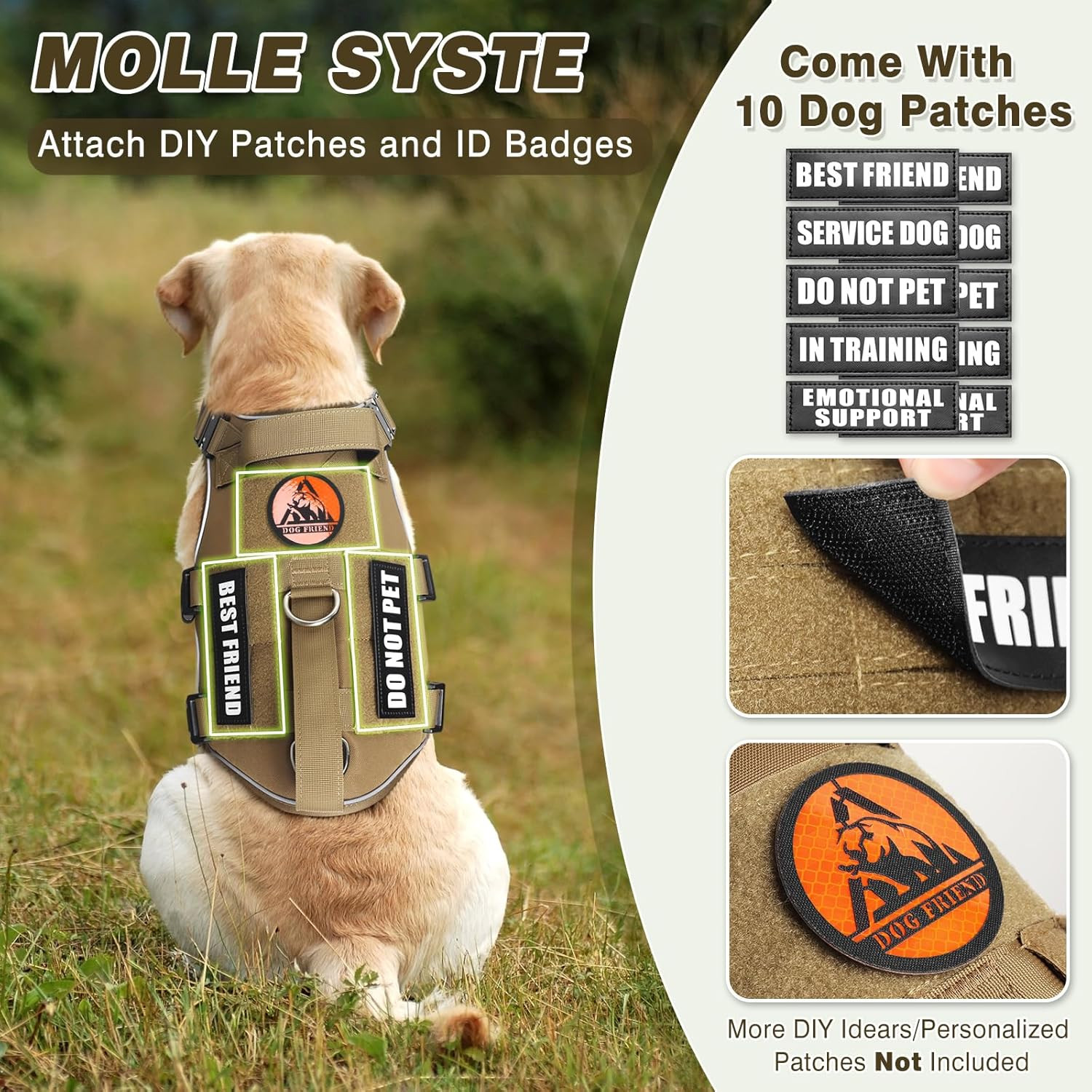 Service Dog Vest and Leash Set,Heavy Duty Tactical Dog Harness with Metal Buckle