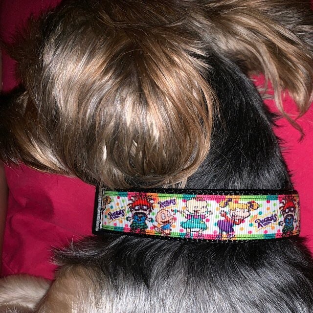 Wide dog collar upgrade handmade 1 1/4″or 1 1/2″ adjustable buckle collar leash