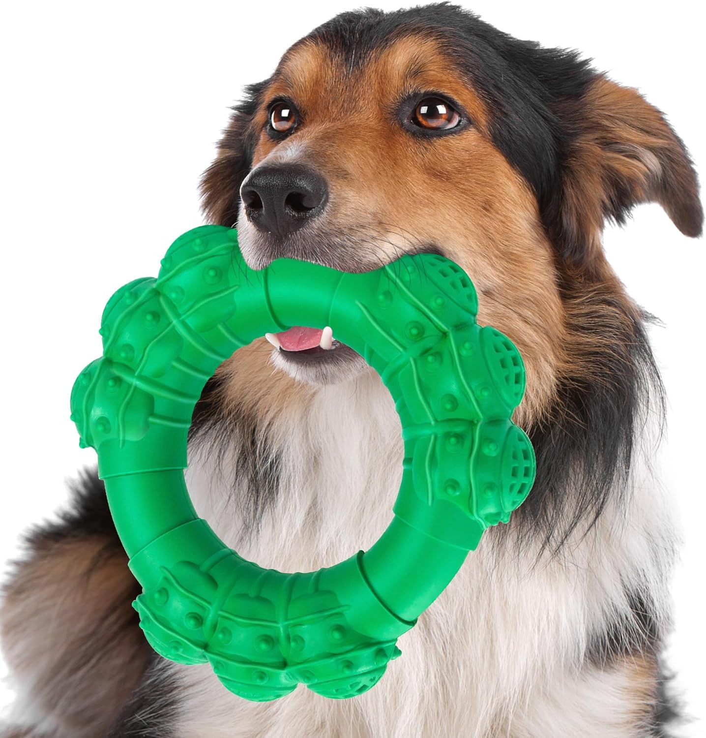 Indestructible Dog Chew Toys Aggressive Chewers Ring Heavy Duty Large Teething