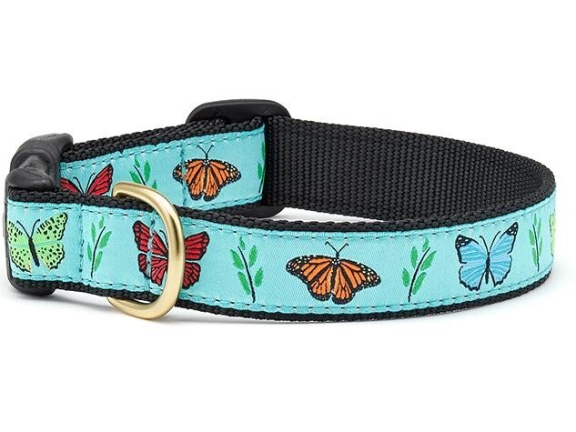 Up Country Dog Collar, Butterfly Effect, Adjustable Made In USA, XS S M L XL XXL