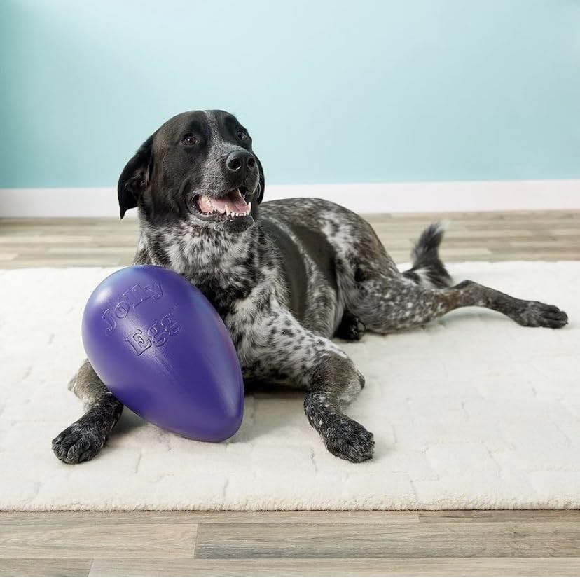 Jolly Pets Jolly Egg Dog Toy Medium 8 Inch Red Floats Fun for Dogs Up to 40 lbs