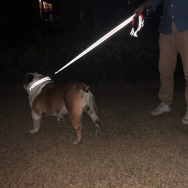 6ft Heavy Duty Reflective Dog Leash with Soft Padded Handle for Safety Training