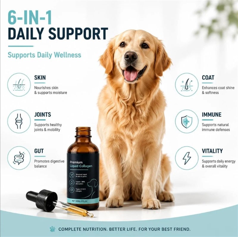 3 Pack Healthy Petz Premium Liquid Collagen For Dogs, Supplement With Collagen