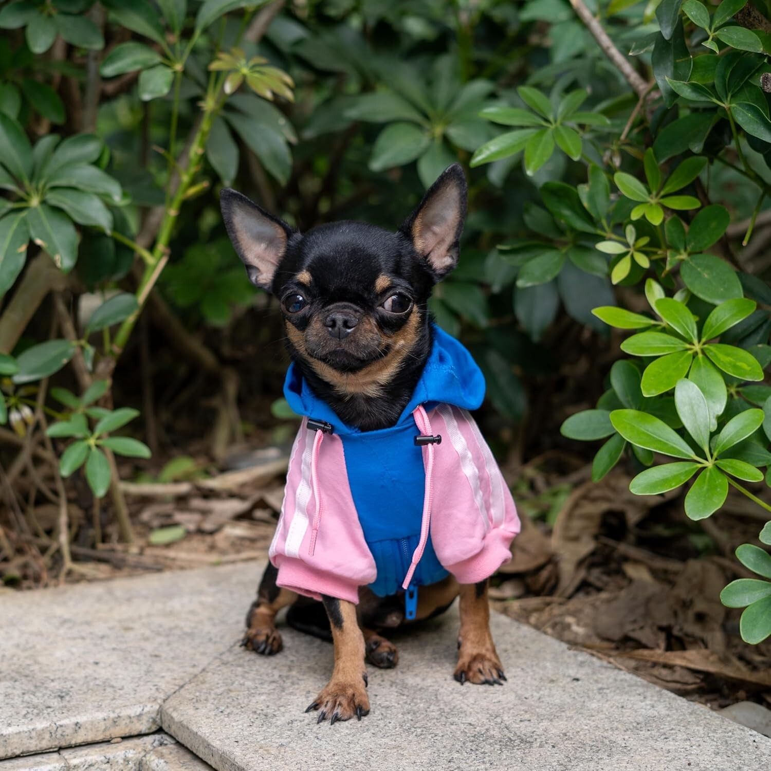 Dog Clothes Hoodie Cozy Warm Outfit Sweater Pullover Hug Pupee