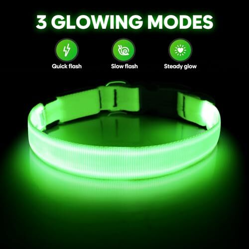 Illumifun LED Dog Collar, USB Rechargeable Light Up Assorted Sizes , Colors