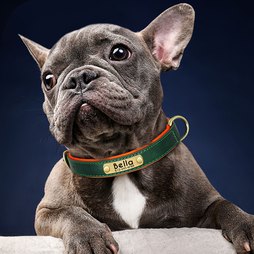PERSONALIZED Soft Leather Dog Collar Custom Puppy Cat Name Free Engraved XS-XL