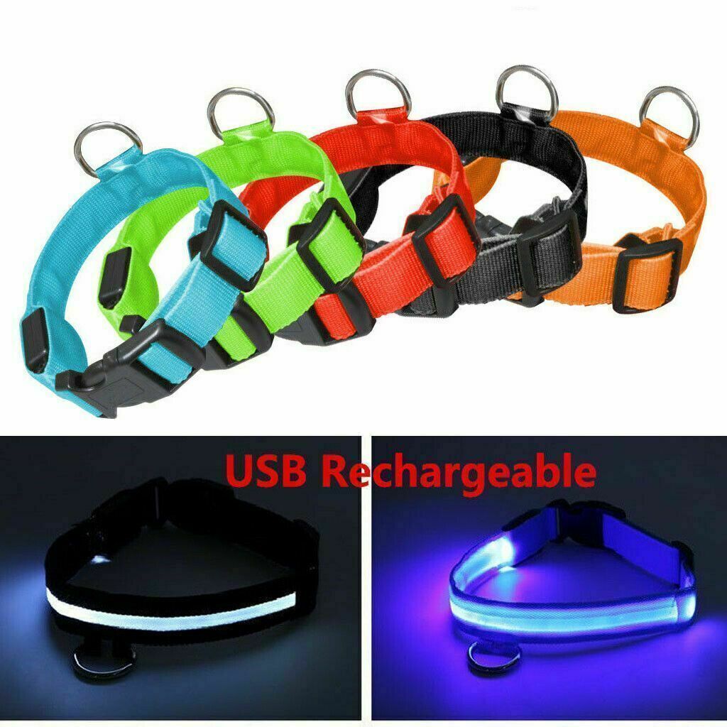 USB RECHARGEABLE LED Dog Pet Light Up Safety Collar Night Glow Adjustable HOT