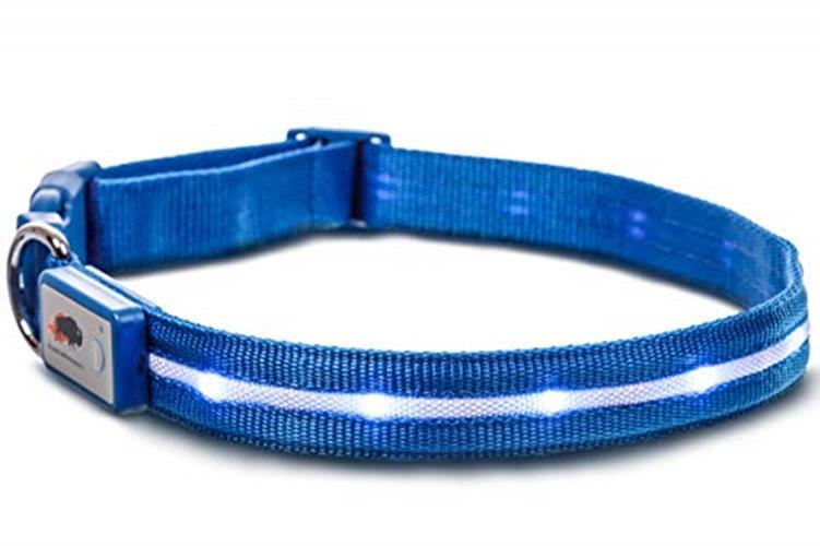 BLAZIN Brightest Light Up Dog Collars – The Original Assorted Sizes , Colors
