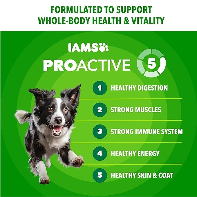 IAMS Proactive Health Minichunks Adult Dry Dog Food with Real Chicken, 30 lb