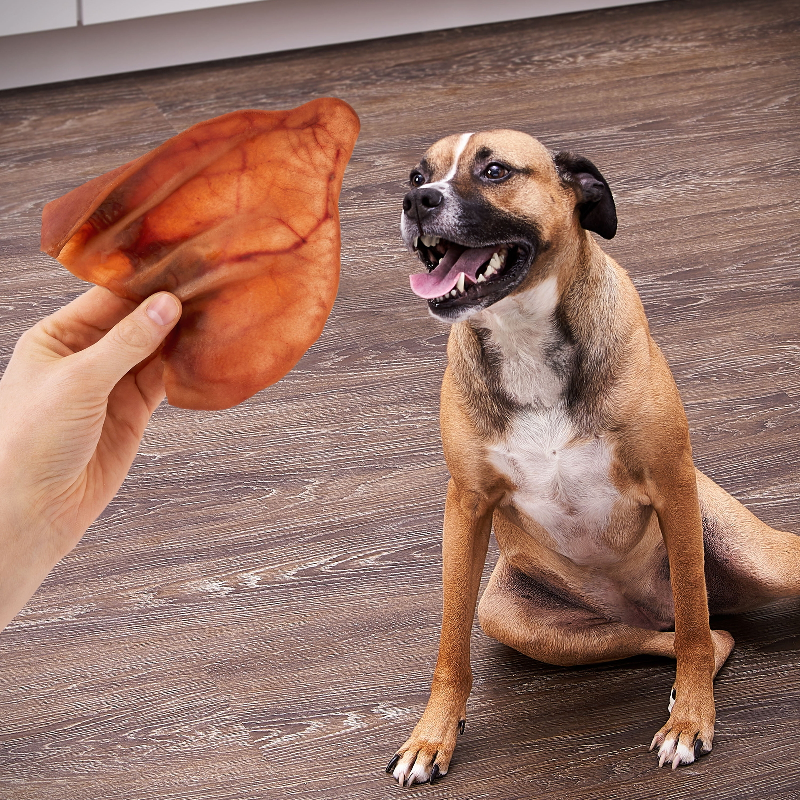 Natural Jumbo Pig Ear Chews for Dogs, 10 Count, 12 oz